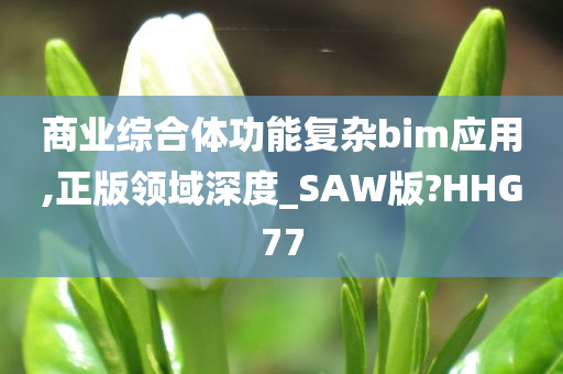 商业综合体功能复杂bim应用,正版领域深度_SAW版?HHG77