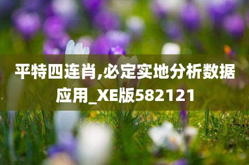 平特四连肖,必定实地分析数据应用_XE版582121