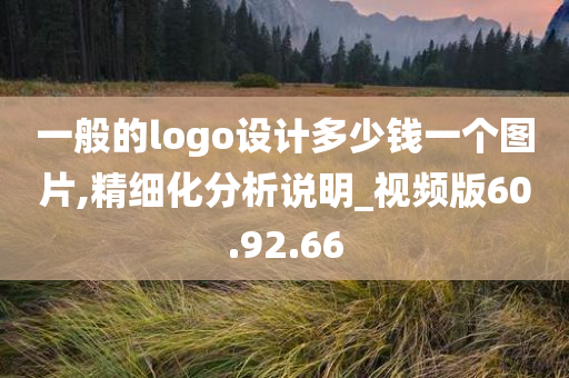 一般的logo设计多少钱一个图片,精细化分析说明_视频版60.92.66