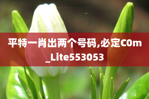 平特一肖出两个号码,必定C0m_Lite553053