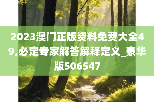 2023澳门正版资料免费大全49,必定专家解答解释定义_豪华版506547