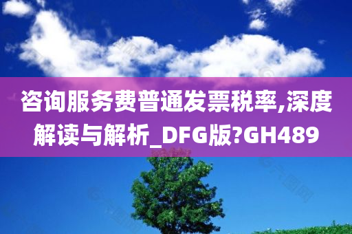 咨询服务费普通发票税率,深度解读与解析_DFG版?GH489