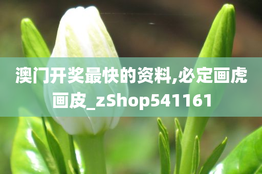 澳门开奖最快的资料,必定画虎画皮_zShop541161