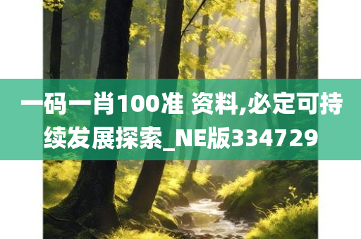 一码一肖100准 资料,必定可持续发展探索_NE版334729