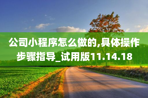 公司小程序怎么做的,具体操作步骤指导_试用版11.14.18