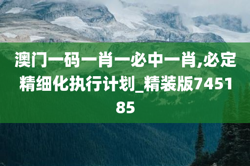 澳门一码一肖一必中一肖,必定精细化执行计划_精装版745185