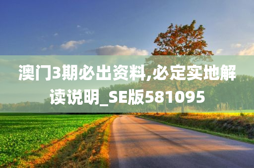 澳门3期必出资料,必定实地解读说明_SE版581095