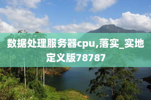 数据处理服务器cpu,落实_实地定义版78787