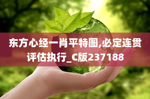 东方心经一肖平特图,必定连贯评估执行_C版237188