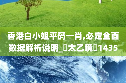 香港白小姐平码一肖,必定全面数据解析说明_‌太乙境‌1435