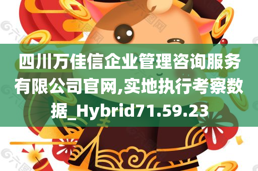 四川万佳信企业管理咨询服务有限公司官网,实地执行考察数据_Hybrid71.59.23