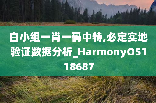 白小组一肖一码中特,必定实地验证数据分析_HarmonyOS118687