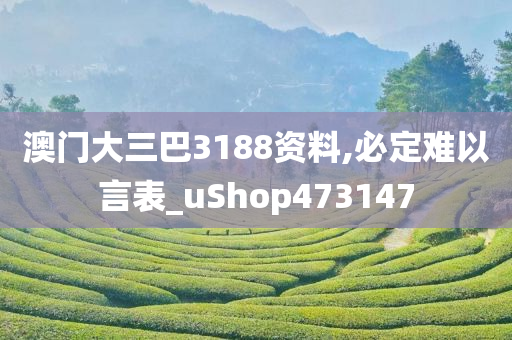 澳门大三巴3188资料,必定难以言表_uShop473147