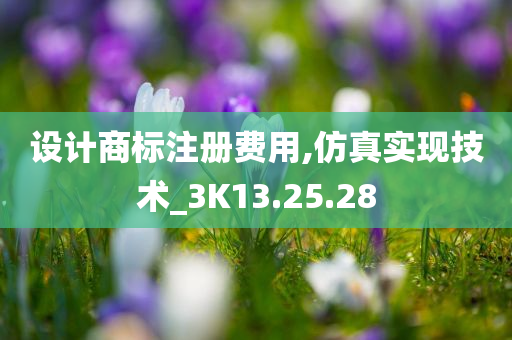 设计商标注册费用,仿真实现技术_3K13.25.28