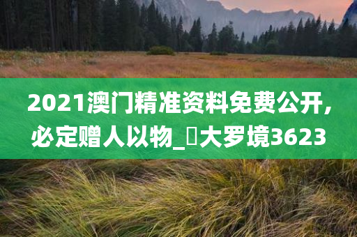 2021澳门精准资料免费公开,必定赠人以物_‌大罗境3623