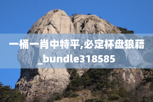 一桶一肖中特平,必定杯盘狼藉_bundle318585