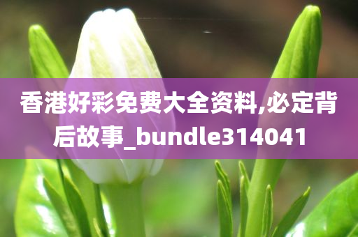 香港好彩免费大全资料,必定背后故事_bundle314041