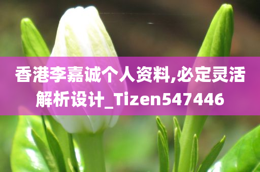 香港李嘉诚个人资料,必定灵活解析设计_Tizen547446