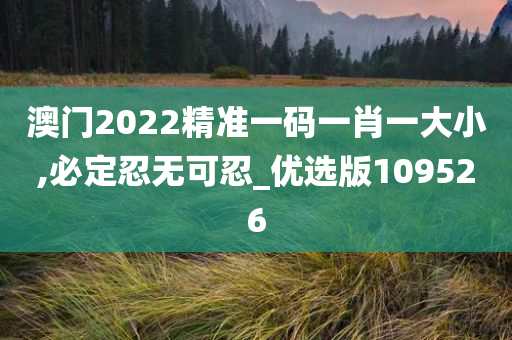 澳门2022精准一码一肖一大小,必定忍无可忍_优选版109526