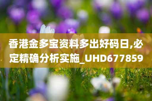 香港金多宝资料多出好码日,必定精确分析实施_UHD677859