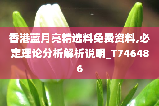 香港蓝月亮精选料免费资料,必定理论分析解析说明_T746486