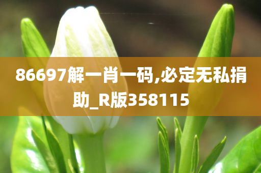 86697解一肖一码,必定无私捐助_R版358115