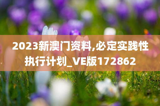 2023新澳门资料,必定实践性执行计划_VE版172862