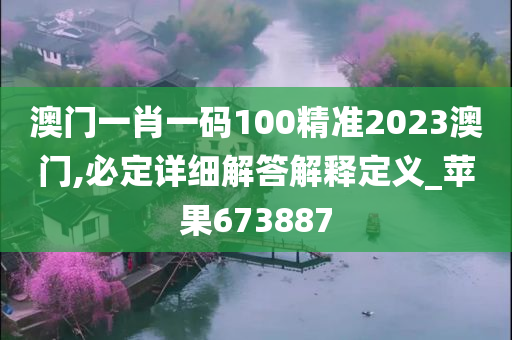 澳门一肖一码100精准2023澳门,必定详细解答解释定义_苹果673887