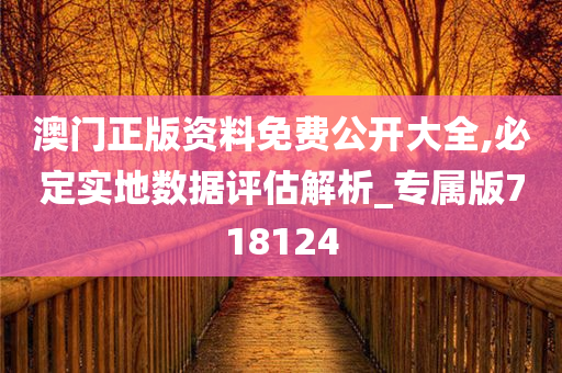 澳门正版资料免费公开大全,必定实地数据评估解析_专属版718124