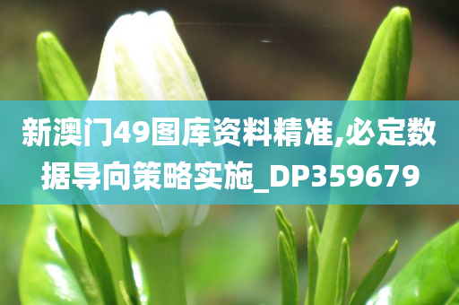 新澳门49图库资料精准,必定数据导向策略实施_DP359679