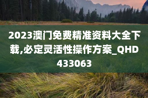 2023澳门免费精准资料大全下载,必定灵活性操作方案_QHD433063