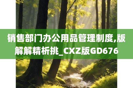 销售部门办公用品管理制度,版解解精析挑_CXZ版GD676