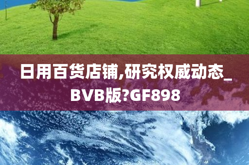 日用百货店铺,研究权威动态_BVB版?GF898