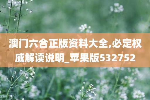 澳门六合正版资料大全,必定权威解读说明_苹果版532752