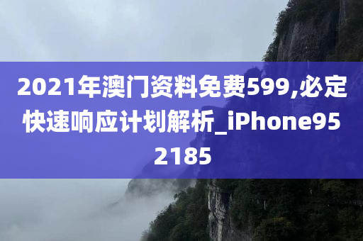 2021年澳门资料免费599,必定快速响应计划解析_iPhone952185