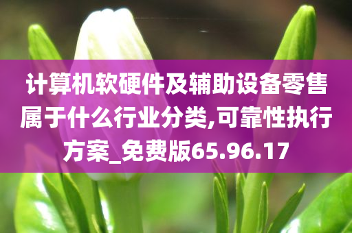 计算机软硬件及辅助设备零售属于什么行业分类,可靠性执行方案_免费版65.96.17