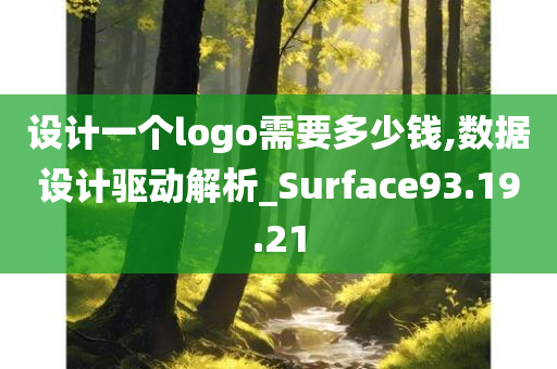 设计一个logo需要多少钱,数据设计驱动解析_Surface93.19.21