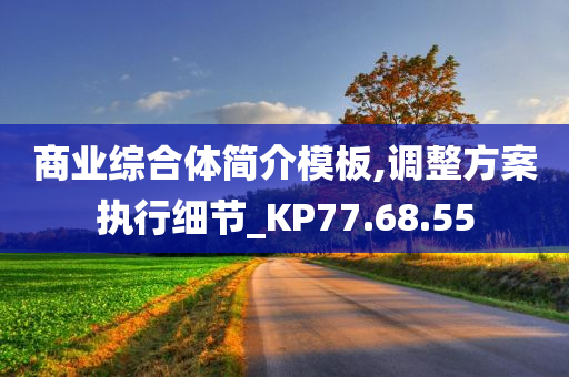 商业综合体简介模板,调整方案执行细节_KP77.68.55