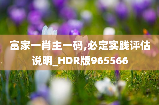 富家一肖主一码,必定实践评估说明_HDR版965566