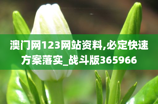 澳门网123网站资料,必定快速方案落实_战斗版365966