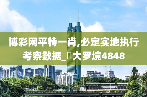 博彩网平特一肖,必定实地执行考察数据_‌大罗境4848