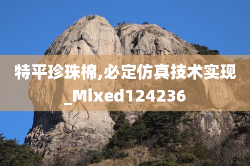 特平珍珠棉,必定仿真技术实现_Mixed124236