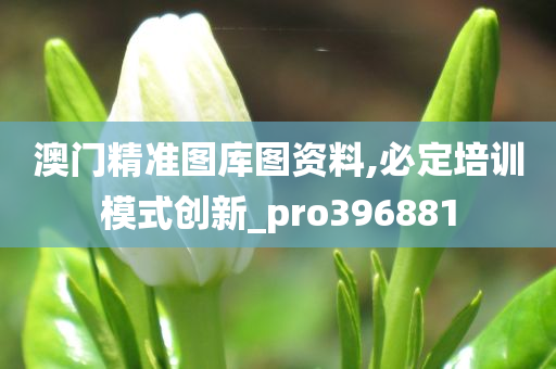 澳门精准图库图资料,必定培训模式创新_pro396881