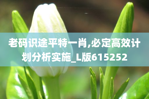 老码识途平特一肖,必定高效计划分析实施_L版615252