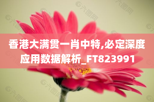 香港大满贯一肖中特,必定深度应用数据解析_FT823991