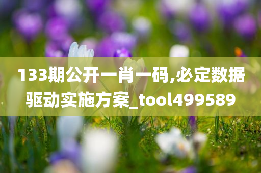 133期公开一肖一码,必定数据驱动实施方案_tool499589