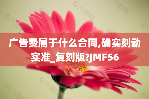 广告费属于什么合同,确实刻动实准_复刻版?JMF56