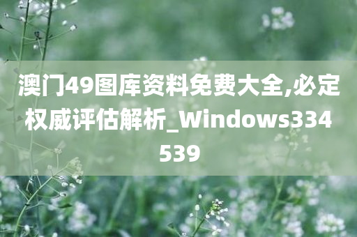 澳门49图库资料免费大全,必定权威评估解析_Windows334539