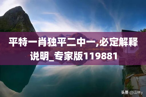 平特一肖独平二中一,必定解释说明_专家版119881