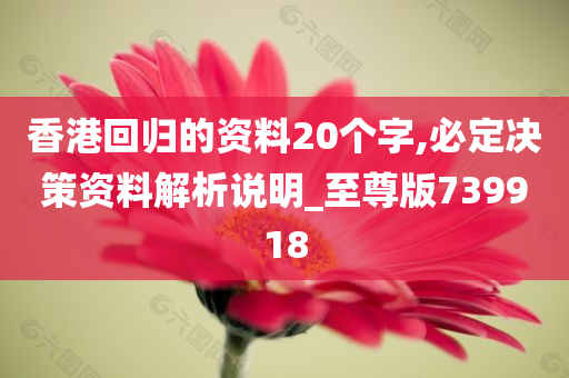 香港回归的资料20个字,必定决策资料解析说明_至尊版739918